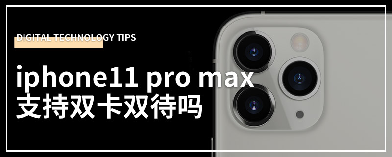 iphone11 pro max支持双卡双待吗