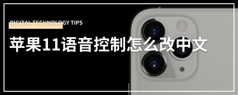 苹果11语音控制怎么改中文