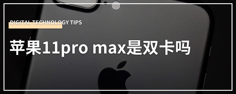 苹果11pro max是双卡吗