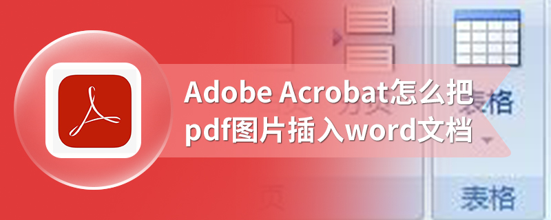 Adobe Acrobat怎么把pdf图片插入word文档