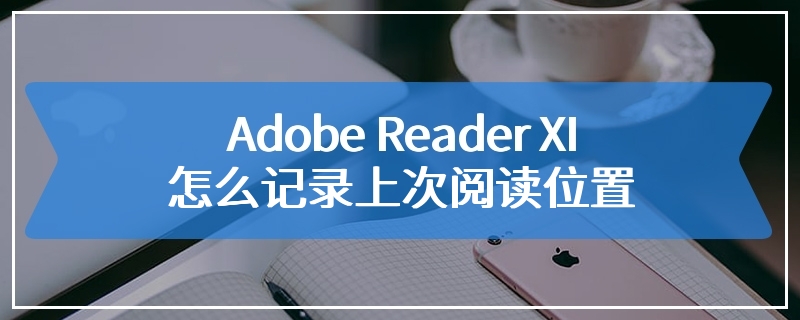 Adobe Reader XI怎么记录上次阅读位置
