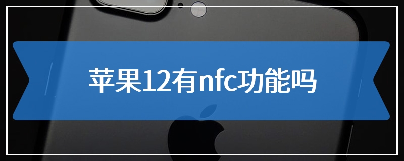苹果12有nfc功能吗