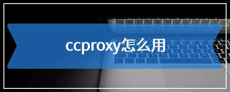 ccproxy怎么用