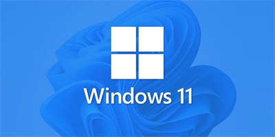 Windows 11：除了蓝白当机画面 我还会黑白当机