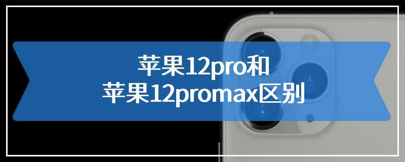 苹果12pro和苹果12promax区别