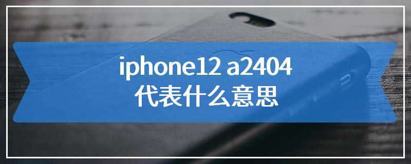 iphone12 a2404代表什么意思