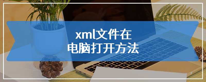 xml文件在电脑打开方法