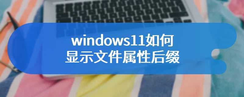 windows11如何显示文件属性后缀
