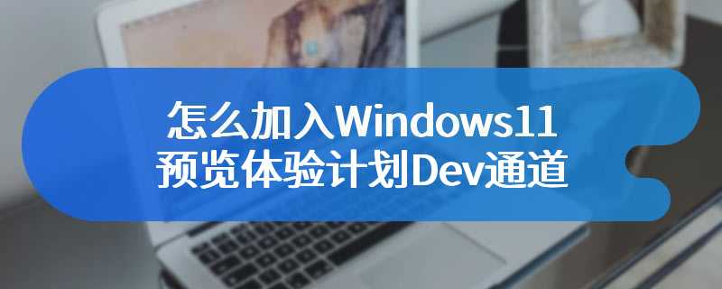 怎么加入Windows11预览体验计划Dev通道