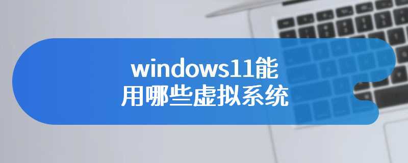 windows11能用哪些虚拟系统