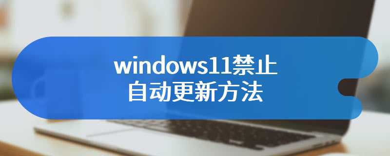 windows11禁止自动更新方法