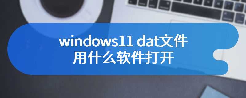 windows11 dat文件用什么软件打开