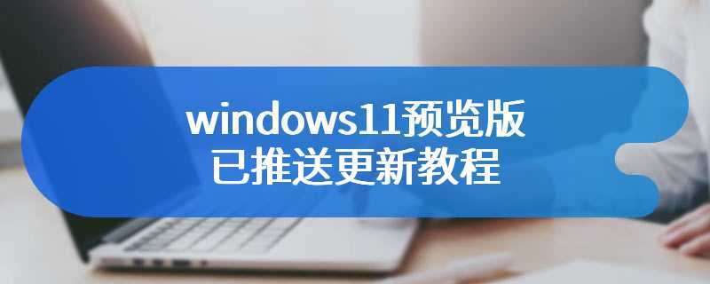 windows11预览版已推送更新教程