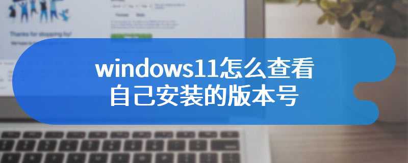 windows11怎么查看自己安装的版本号