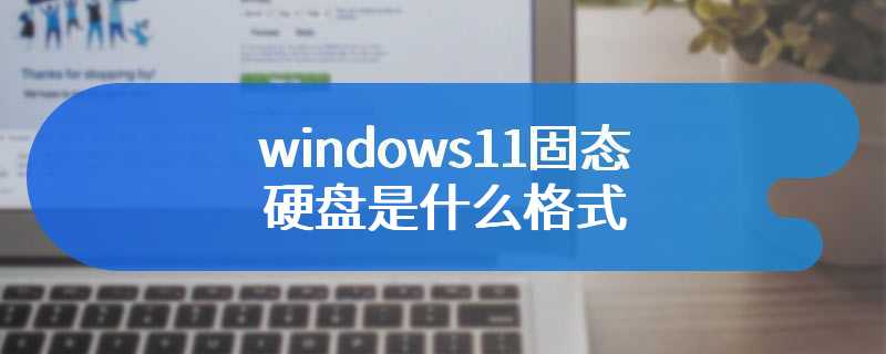 windows11固态硬盘是什么格式